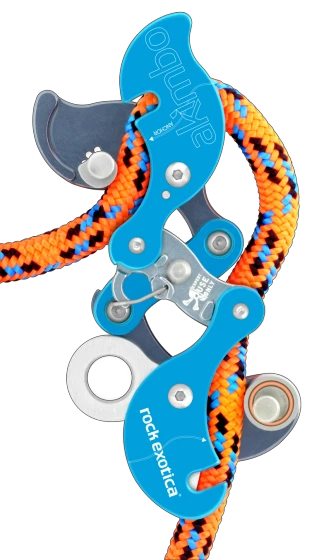 Rock Exotica Akimbo 6 Rock Exotica Akimbo - Image 4