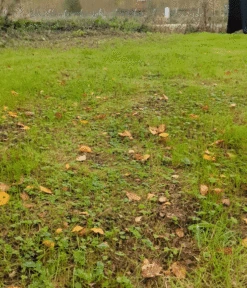 Notch Throwline Popbox 11 Notch Throwline Popbox -Mountaineering Gear Store popbox moving